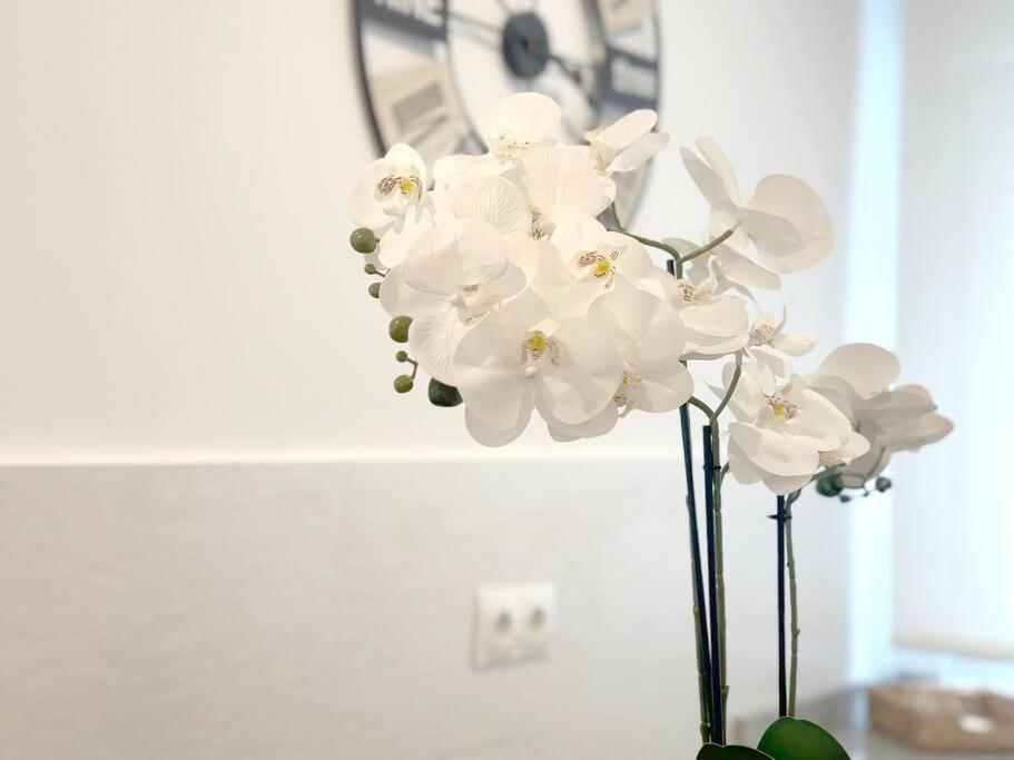 Apartamento Reformado En Santoña Esterno foto
